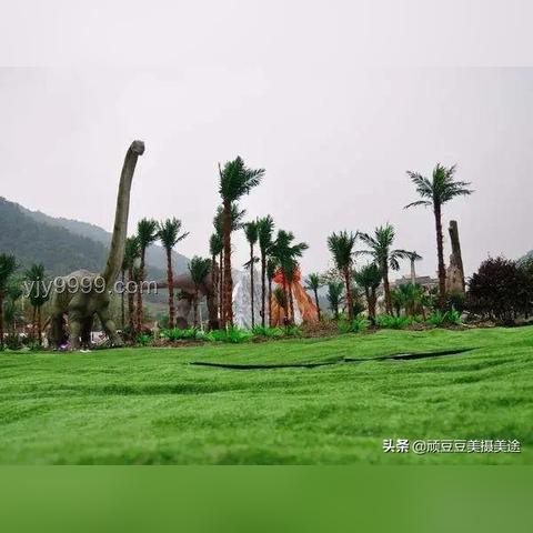 **和白鹿一起恋一个夏天 VS 其他夏日旅行体验**